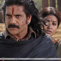 Nagarjuna in Rajanna Movie Stills | Picture 110451